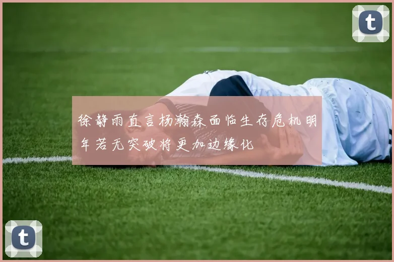 徐静雨直言杨瀚森面临生存危机明年若无突破将更加边缘化