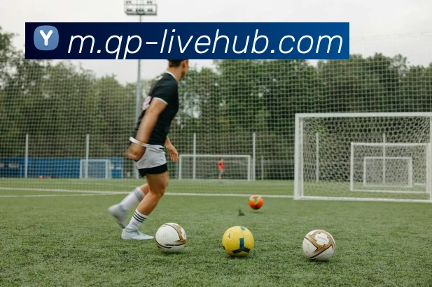 多彩内容专区